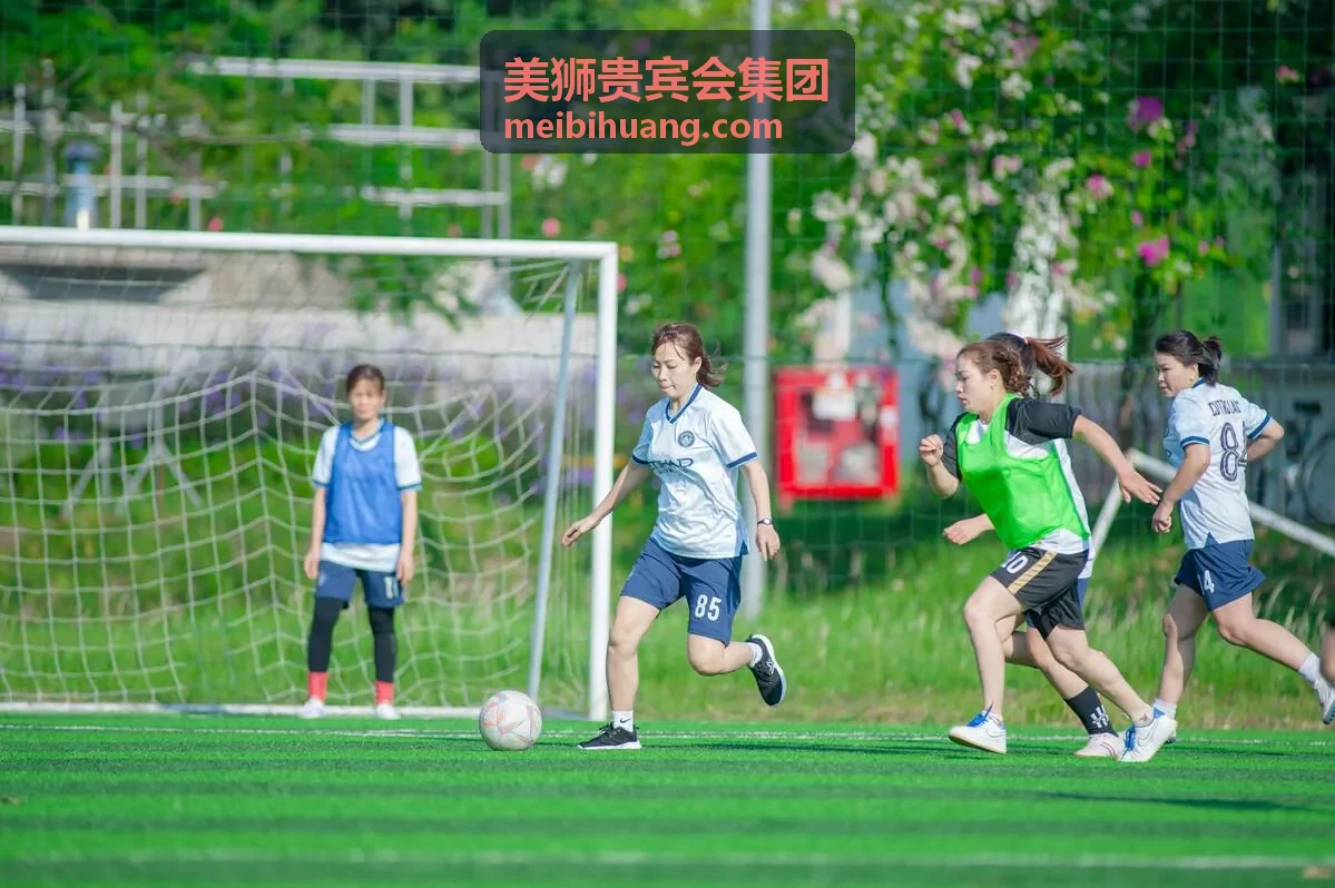 美狮贵宾会集团高端商务背景
